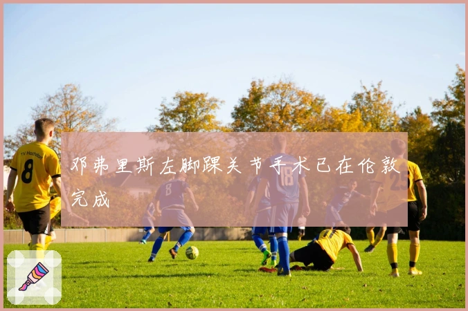 邓弗里斯左脚踝关节手术已在伦敦完成