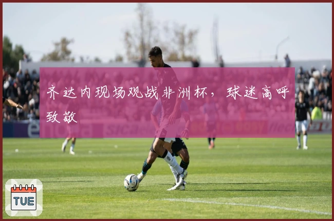 齐达内现场观战非洲杯，球迷高呼致敬